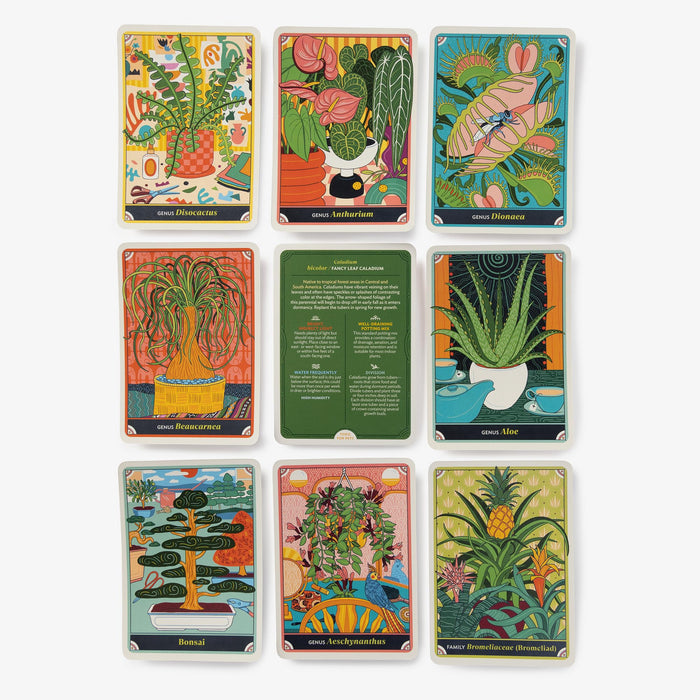 The Happy Houseplant Deck : 50 Cards for Intuitive Plant Care - Caitlin Keegan