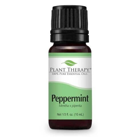Peppermint eteerinen öljy 10ml - Plant Therapy - Tarotpuoti