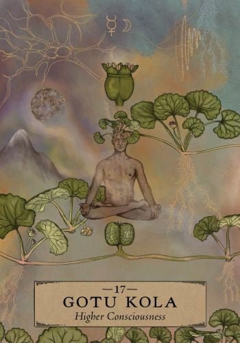 The Herbal Astrology Oracle - Tarotpuoti