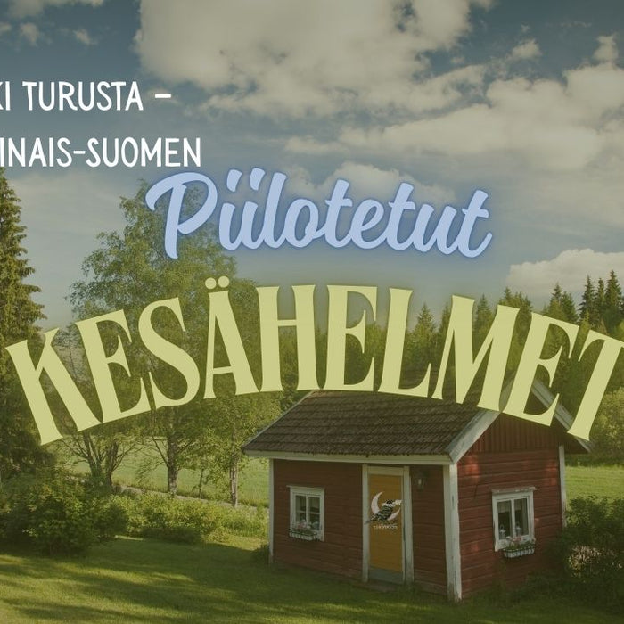Päiväretki Turusta – löydä Varsinais-Suomen piilotetut kesähelmet Saariston Rengastien läheltä