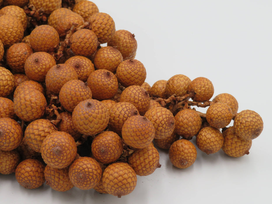 Rattan Fruit – luonnonkoriste