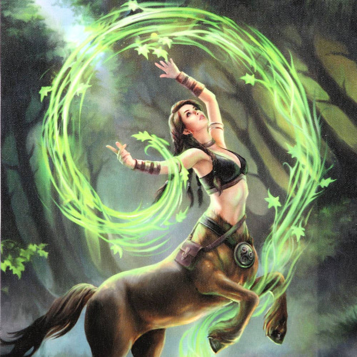 Earth Element Sorceress Canvas - Anne Stokes