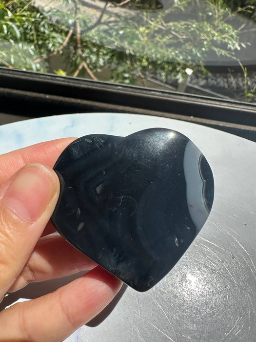 Musta kukka-akaatti sydän 4–6 cm – Kasvu ja suoja