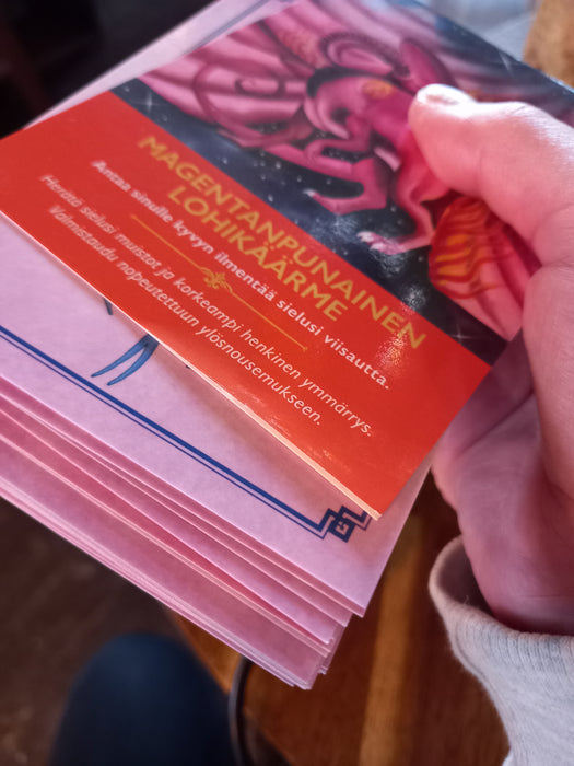 Lohikäärmekortit ja opaskirja - Diana Cooper (preloved käytetty OOP)