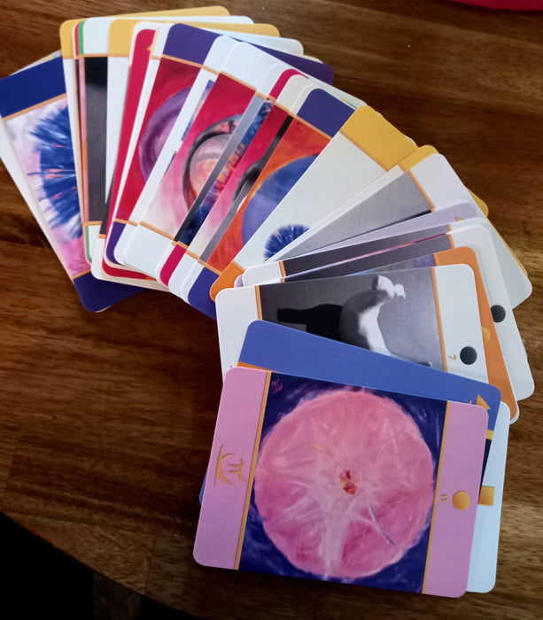 Yhdessäluomisen Voimapakka - Sari Komulainen & Terhi Takanen