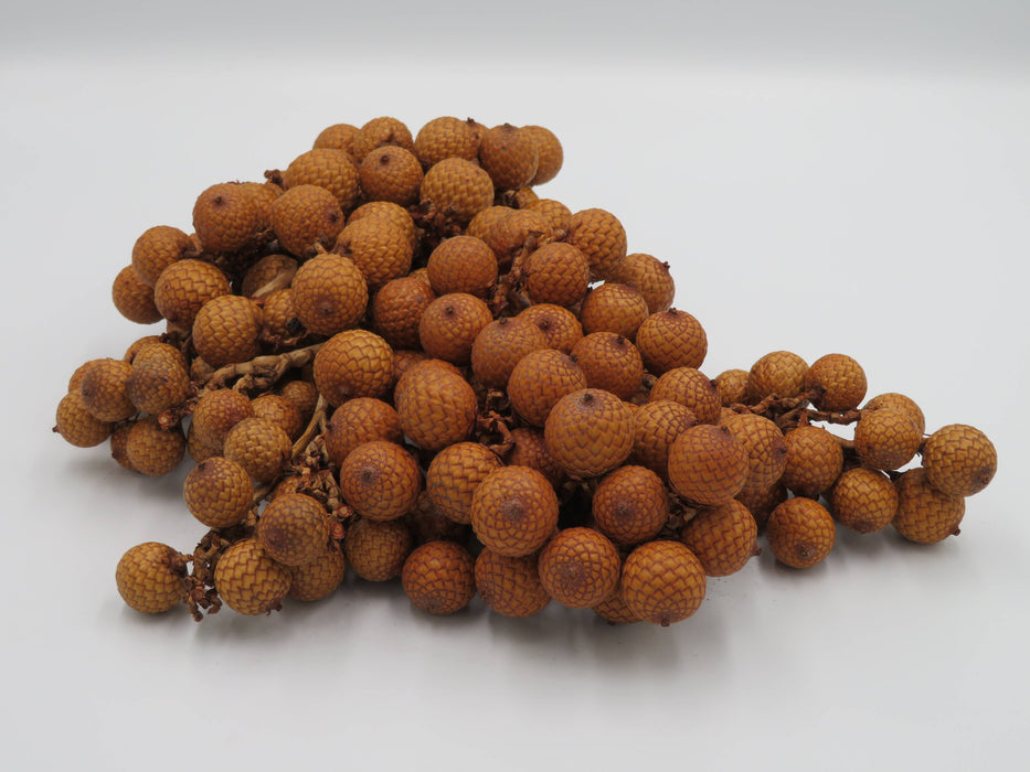 Rattan Fruit – luonnonkoriste
