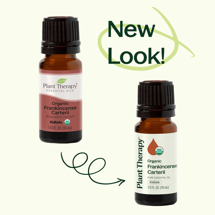 Organic Frankincense Carterii Eteerinen öljy 10 mL
