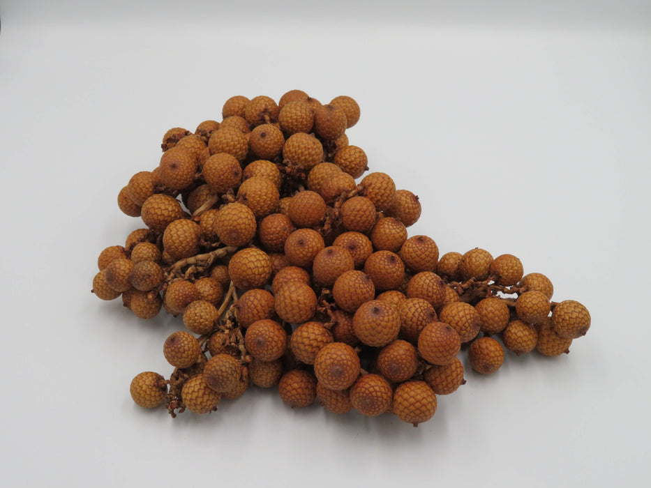 Rattan Fruit – luonnonkoriste