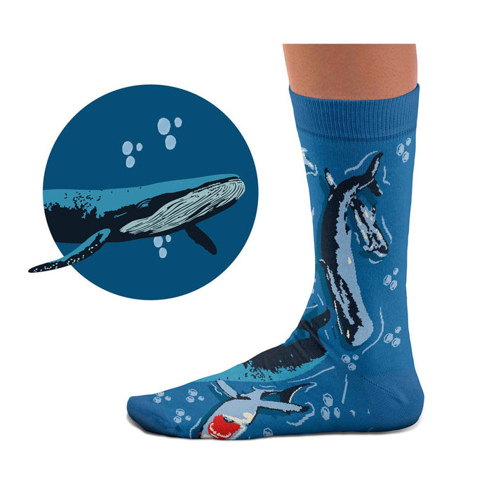Miekkavalas ja valas sukat – Sock Affairs