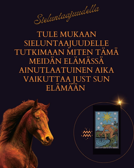 Sieluntaajudella ZOOM live Ti.17.2. Uusikuu Vesimiehessä / Tulihevosen vuosi klo.19-20.30