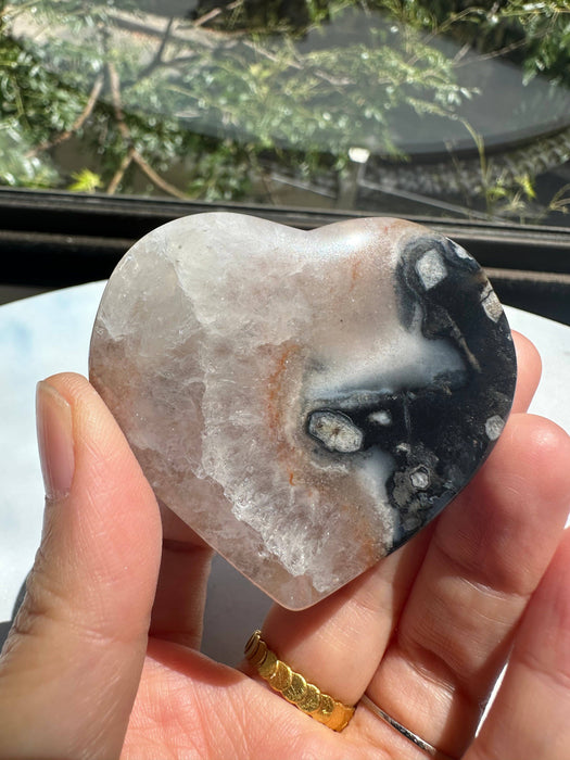 Musta kukka-akaatti sydän 4–6 cm – Kasvu ja suoja