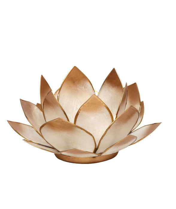 Lotus lyhty kulta “sunrise”