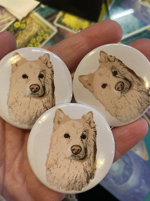 Puotikoira Miska Rintanappi