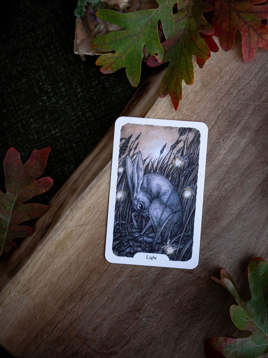 Thistledown Oracle (New edition 2026) - Stephanie Burrows & Adam Oehlers