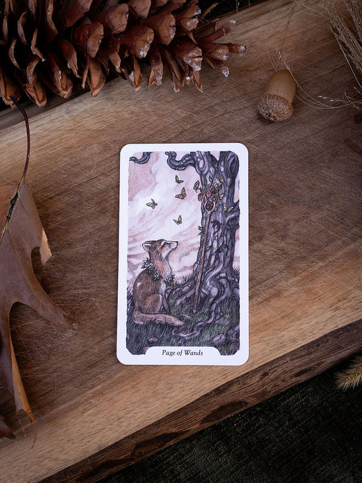 Oak Ash & Thorn (new edition 2026) - Stephanie Burrows & Adam Oehlers
