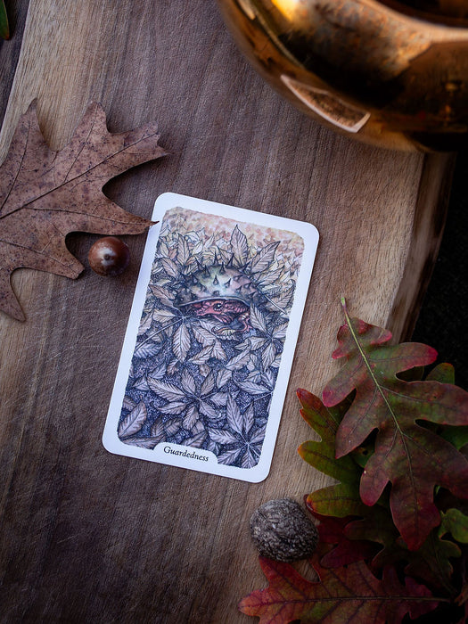 Thistledown Oracle (New edition 2026) - Stephanie Burrows & Adam Oehlers