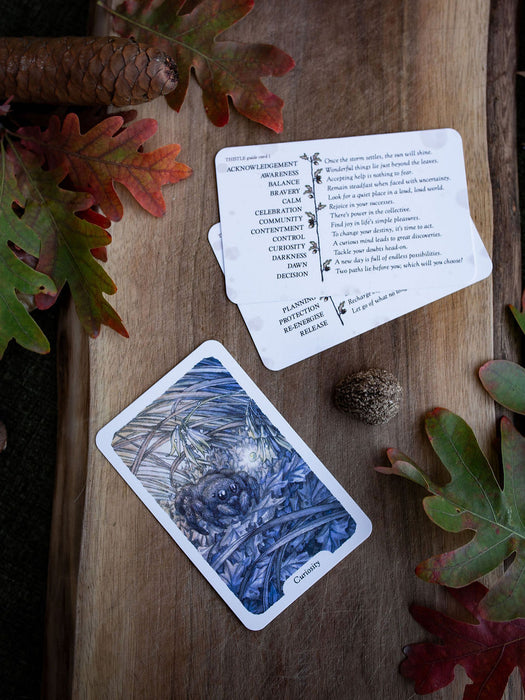 Thistledown Oracle (New edition 2026) - Stephanie Burrows & Adam Oehlers
