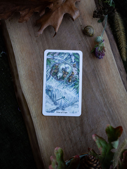 Smoke, Ash & Embers Tarot Deck (New edition 2026) - Stephanie Burrows & Adam Oehlers