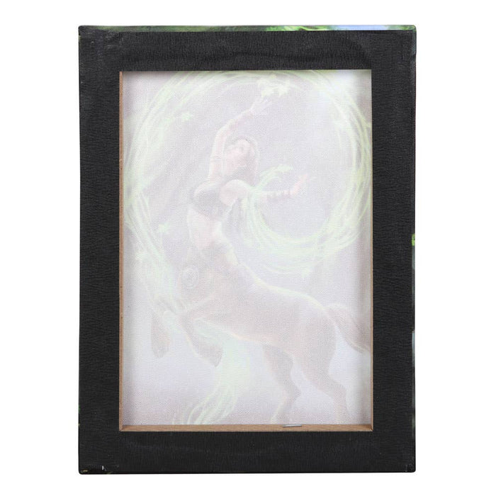 Earth Element Sorceress Canvas - Anne Stokes