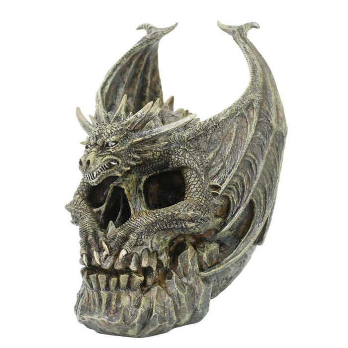 Draco Dragon Skull -koriste by Spiral Direct