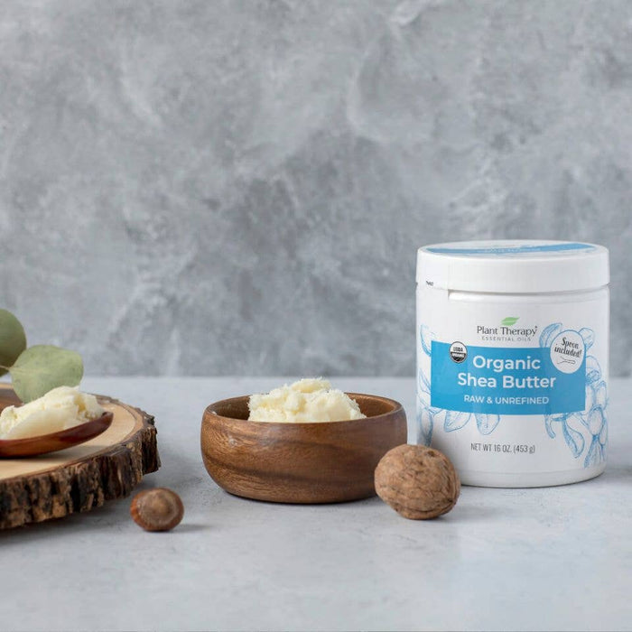 Organic Shea Butter 453g - Plant Therapy