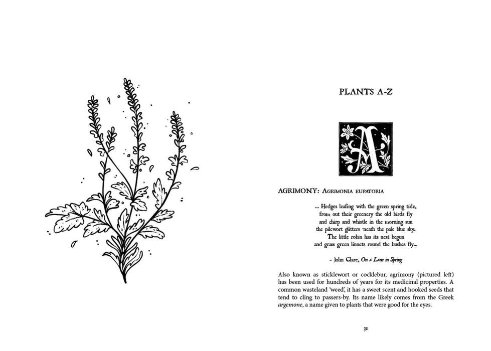 Folk Magic and Healing: An Unusual History of Everyday Plants - Fez Inkwright