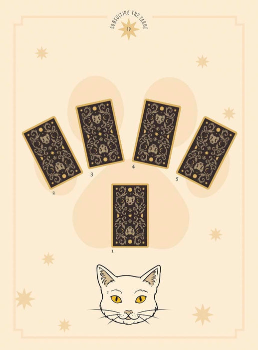 Cats Rule the Earth Tarot : 78-Card Deck and Guidebook for the Feline-Obsessed - Catherine Davidson
