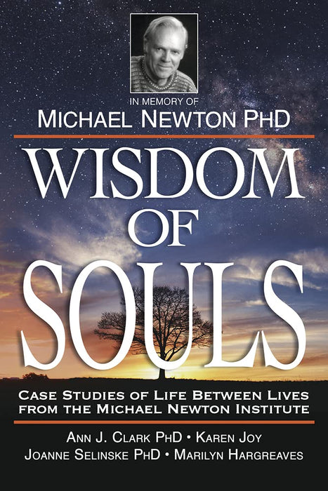 Wisdom of Souls: Case Studies of Life Between Lives From The Michael Newton Institute - The Newton Institute