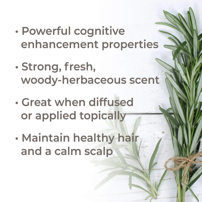 Rosemary 1,8-Cineole Eteerinen öljy 10 ml - Plant Therapy