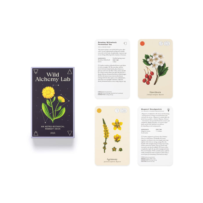 Wild Alchemy Lab: An Astro-botanical Remedy Deck -  Jemma Foster
