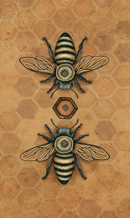 Bee Tarot - Kristoffer Hughes, Nadia Turner UUTUUS 5/2024