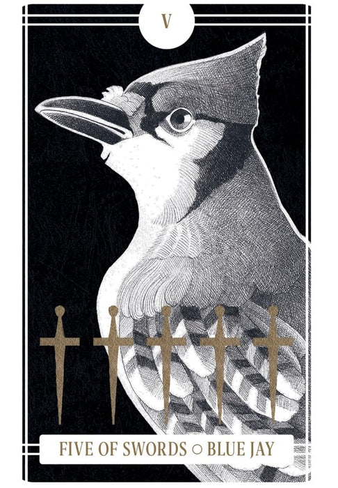 The Avian Tarot - Brittany Lyn Batchelder UUTUUS 12/2023