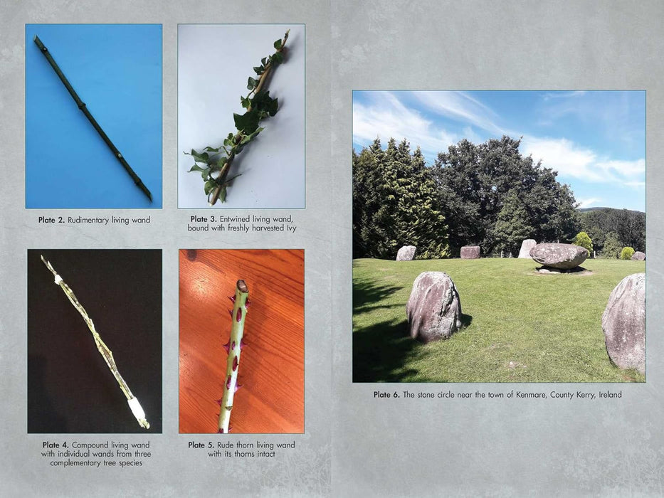 Living Wands of the Druids: Harvesting, Crafting, and Casting with Magical Tools - Jon G. Hughes