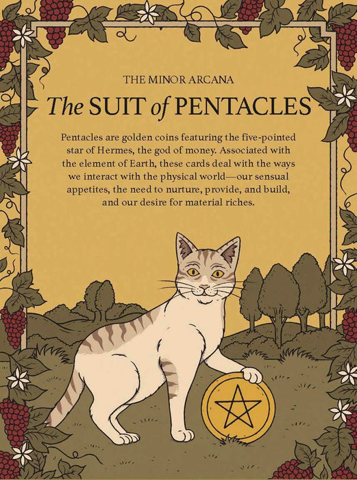 Cats Rule the Earth Tarot : 78-Card Deck and Guidebook for the Feline-Obsessed - Catherine Davidson