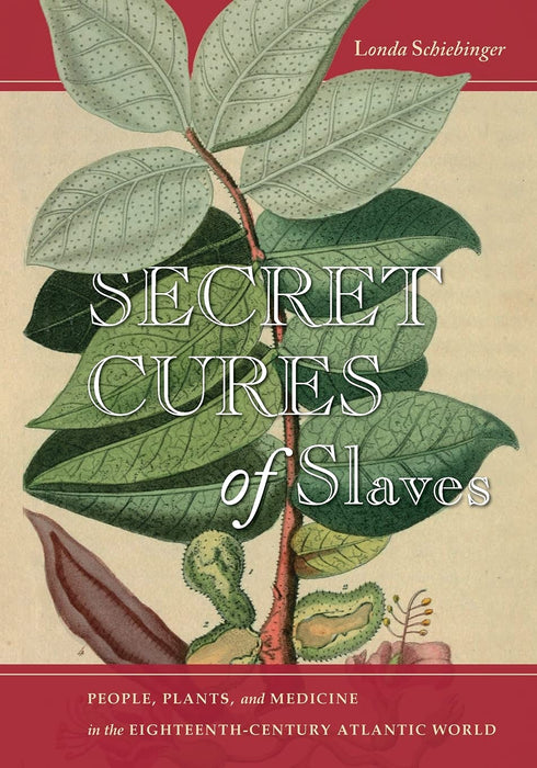 Secret Cures of Slaves: People, Plants, and Medicine in the Eighteenth-Century Atlantic World  - Londa Schiebinger