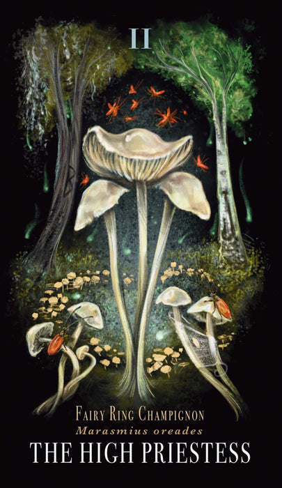 Midnight Magic : A Tarot Deck of Mushrooms - Sara Richard