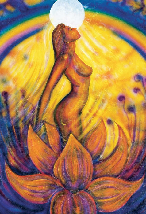 The Tarot of Light - Pocket Edition - Denise Jarvie, Toni Carmine Salerno