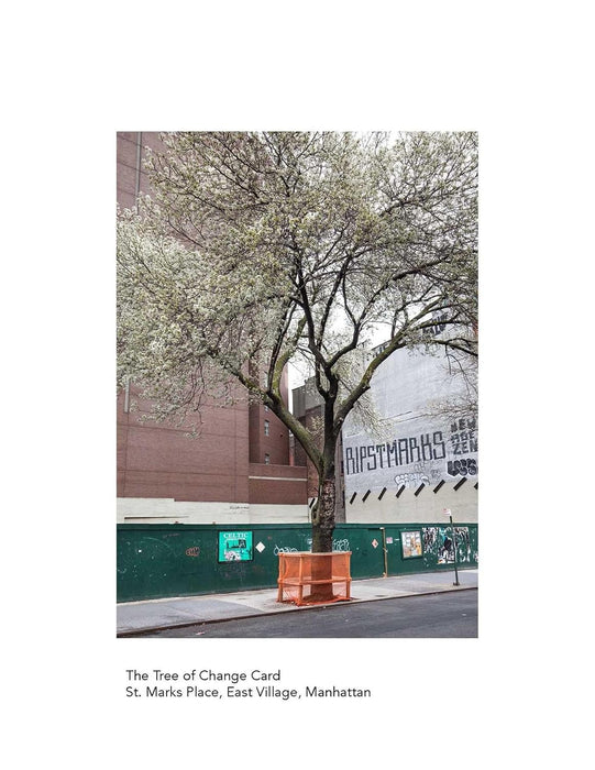 New York City Street Tree Tarot: Matthew López-Jensen - Matthew López-Jensen