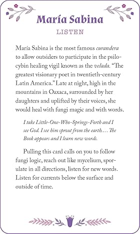 The Missing Witches Deck of Oracles: Feminist Ancestor Magic for Meditations, Divination, and Spellwork - Risa Dickens, Amy Torok