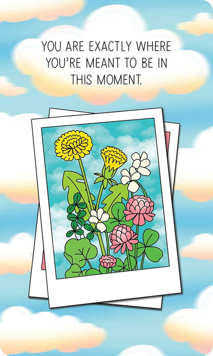 Take What You Need: An Affirmation Deck for Tuning in to Your Inner Voice - Dani DiPirro