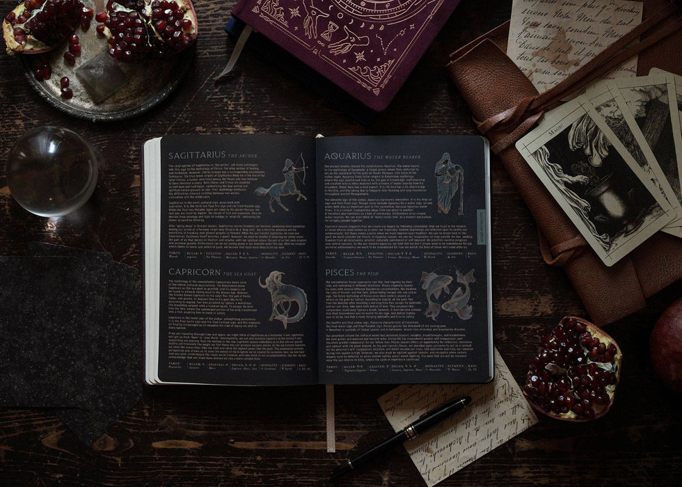 Astrological Planner 2026 - Pomegranate Velvet - Magic of I