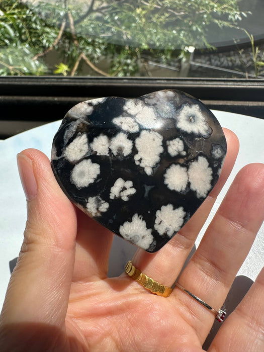 Musta kukka-akaatti sydän 4–6 cm – Kasvu ja suoja