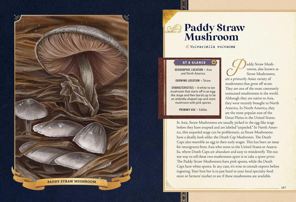 The Little Book of Mushrooms: An Illustrated Guide to the Extraordinary Power of Mushrooms - Alex Dorr, Sara Richard