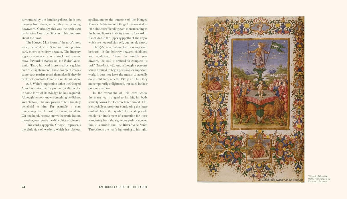 An Occult Guide to the Tarot - Travis McHenry