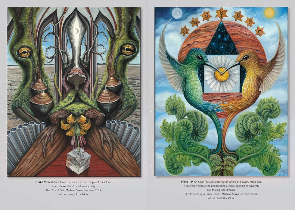 The Hermetic Marriage of Art and Alchemy: Imagination, Creativity, and the Great Work - Marlene Seven Bremner