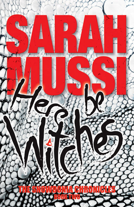 Here be Witches : The Snowdonia Chronicles: Book Two - Sarah Mussi