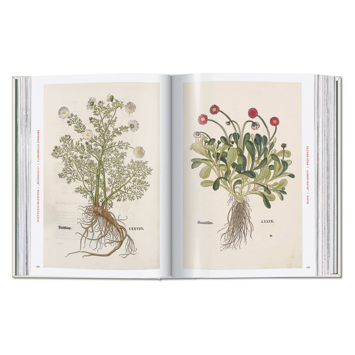 Leonhart Fuchs: The New Herbal (German, French, English)
