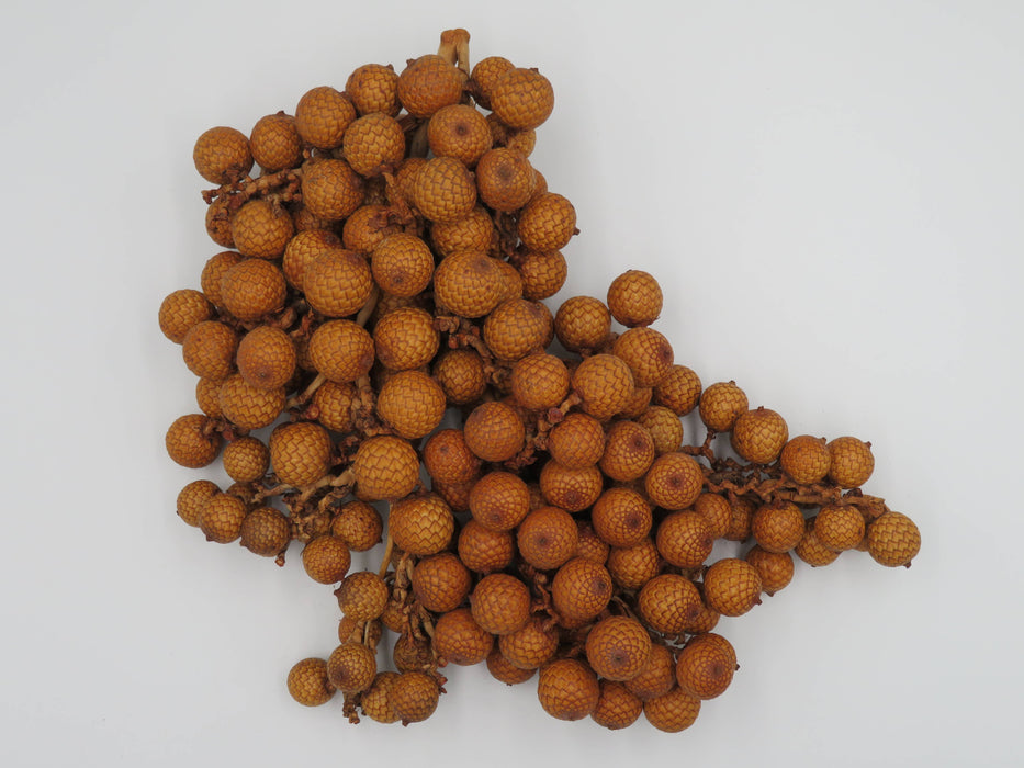 Rattan Fruit – luonnonkoriste