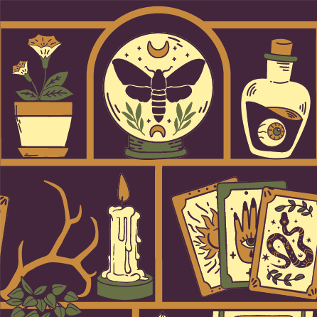 Cabinet of Curiosities sukat - FootClothes