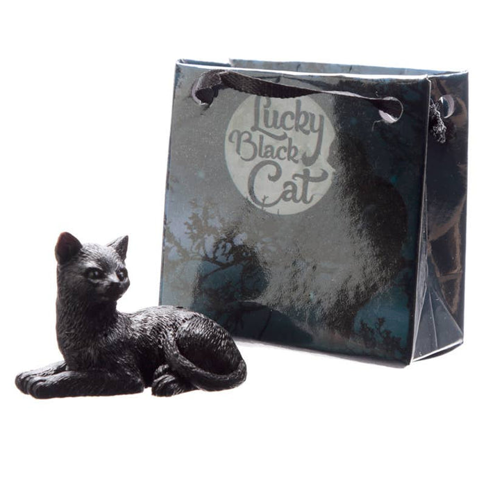 Lucky Black Cat – onnenkissa minilahjakassissa